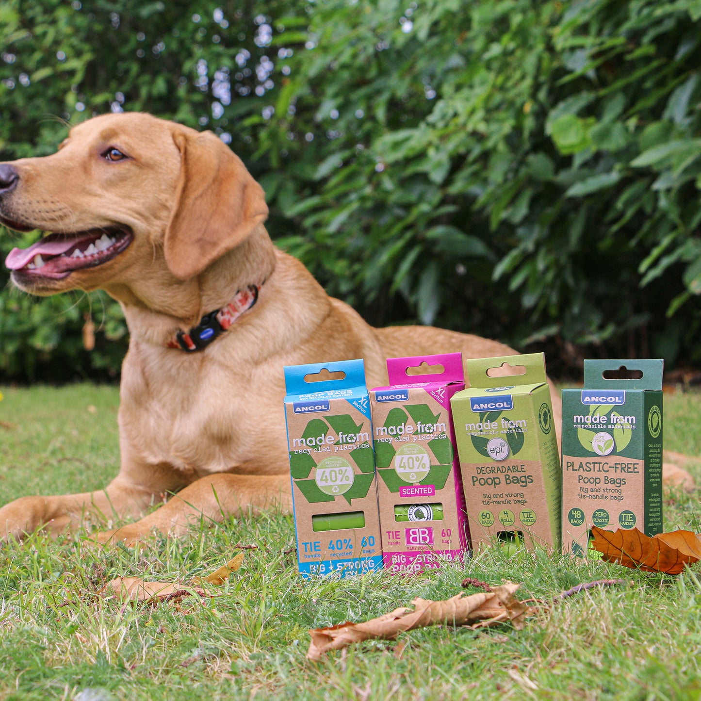 Ancol Made From Scented Poop Bag 4 Refill Pack