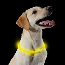 Ancol Rechargeable USB Flashing Band -Yellow