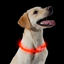 Ancol Rechargeable USB Flashing Band - Orange