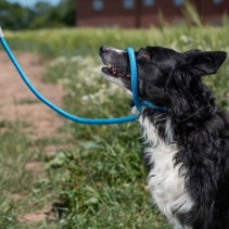 Ancol Viva Rope Slip Lead Reflective Black 1.2mx10mm 30kg