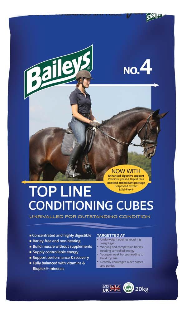 Baileys No.4 Top Line Conditioning Cubes