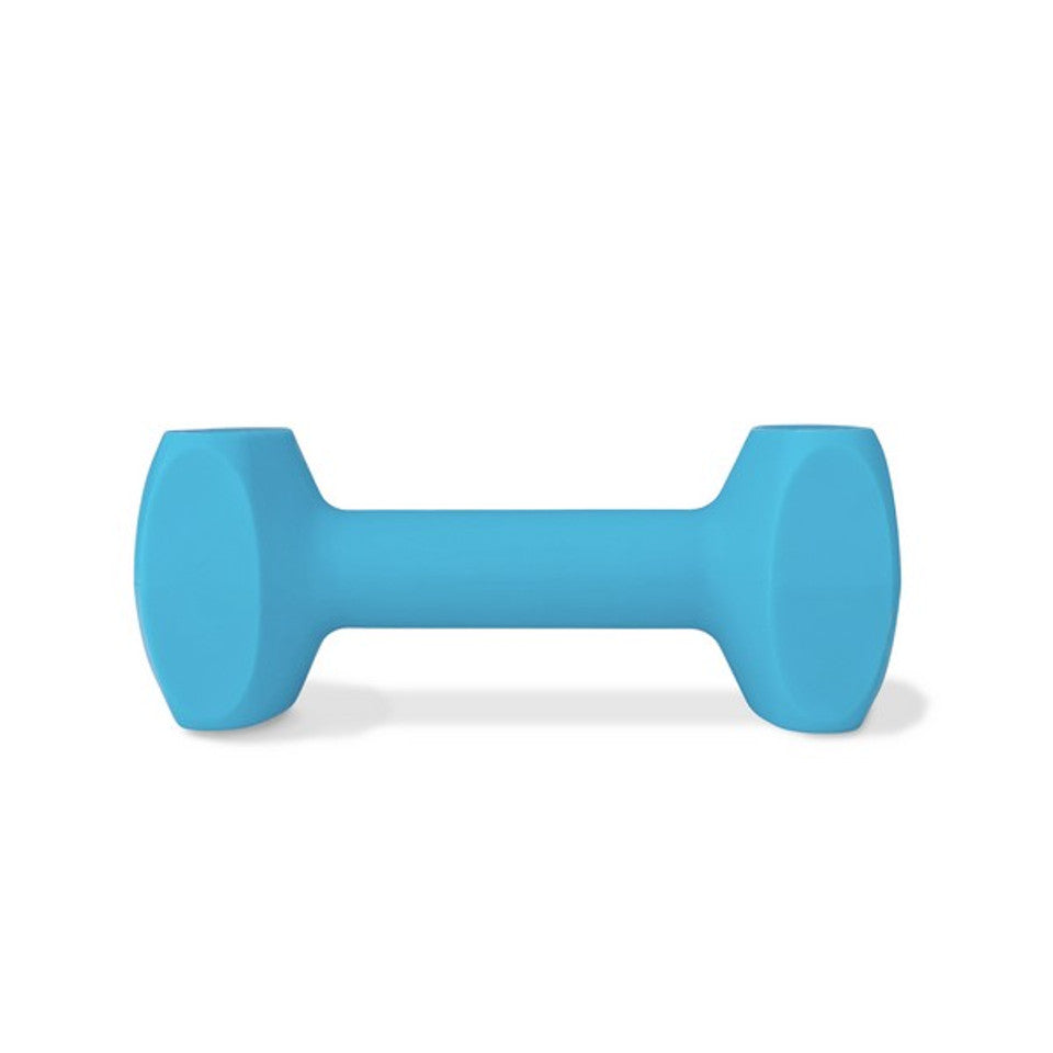 Company of Animals Coachi Training Dumbbell