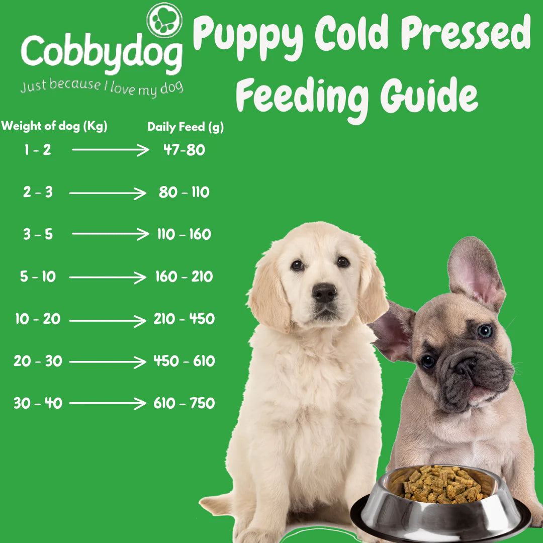 Cobby Dog Cold Pressed Immunity Impact Duck Dinner with Plasma 3kg