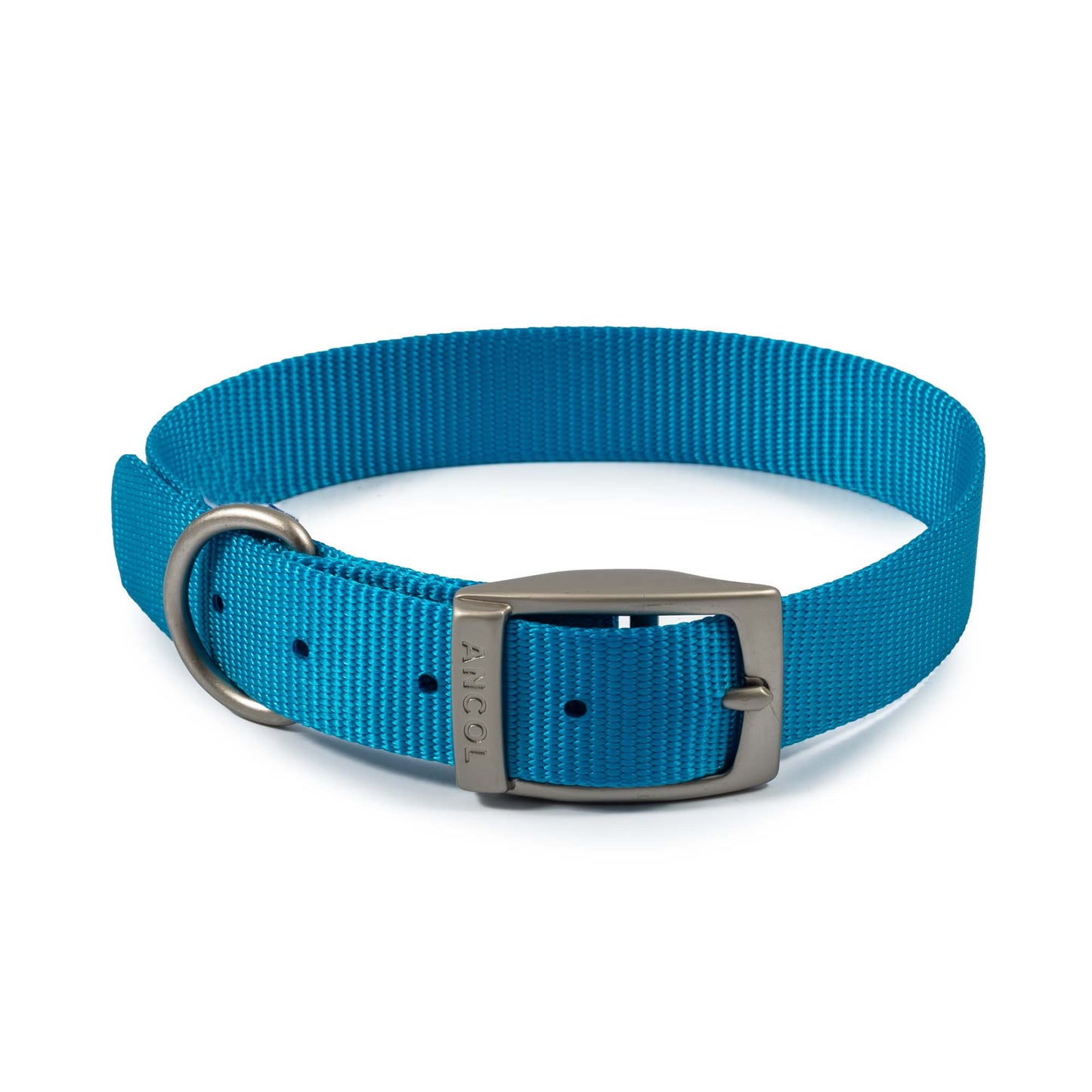 Ancol Viva Buckle Collar Blue Size 3