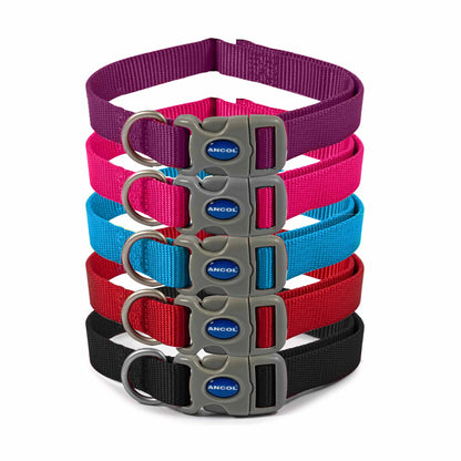 Ancol Viva Adjustable Quick Fit Collar Blue Size 5-9