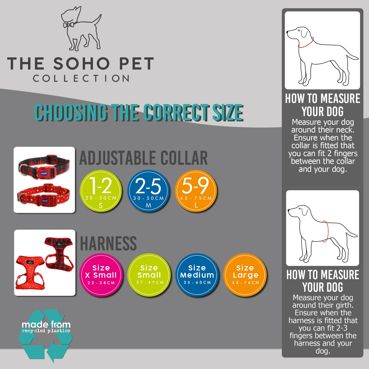 Ancol Soho Maple Leaf Collar Size 2-5