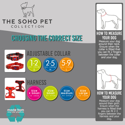 Ancol Soho Maple Leaf Collar Size 2-5