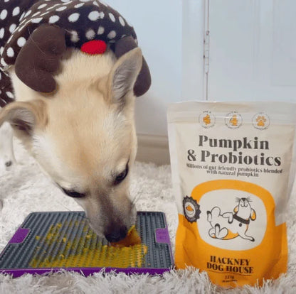 Hackney Dog House Pumpkin & Probiotics 225g