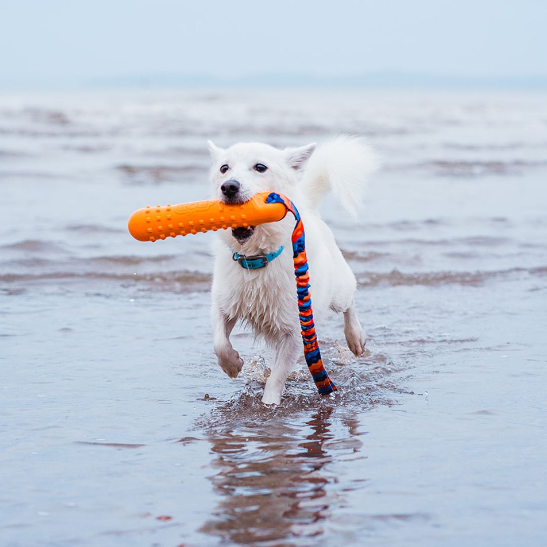 Tug-E-Nuff - BOB: The 3-in-1 Dog Dummy