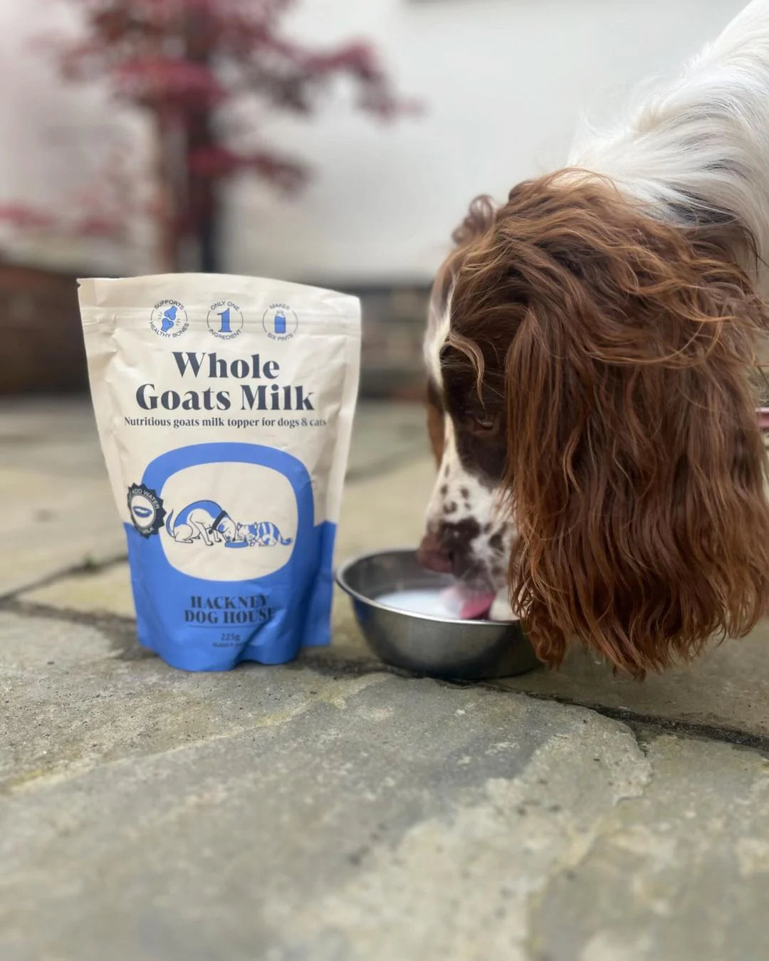 Hackney Dog House Whole Goats Milk 225g