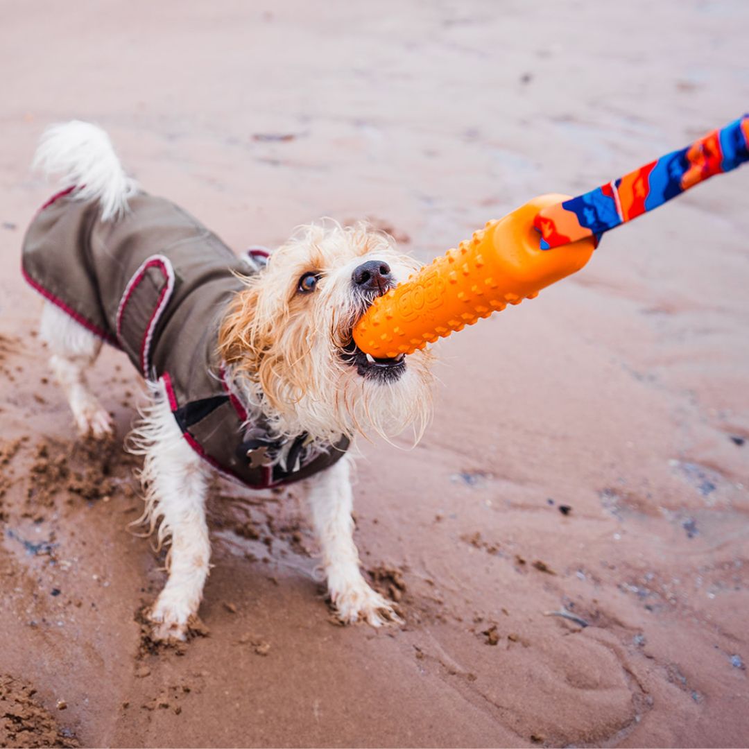 Tug-E-Nuff - BOB: The 3-in-1 Dog Dummy