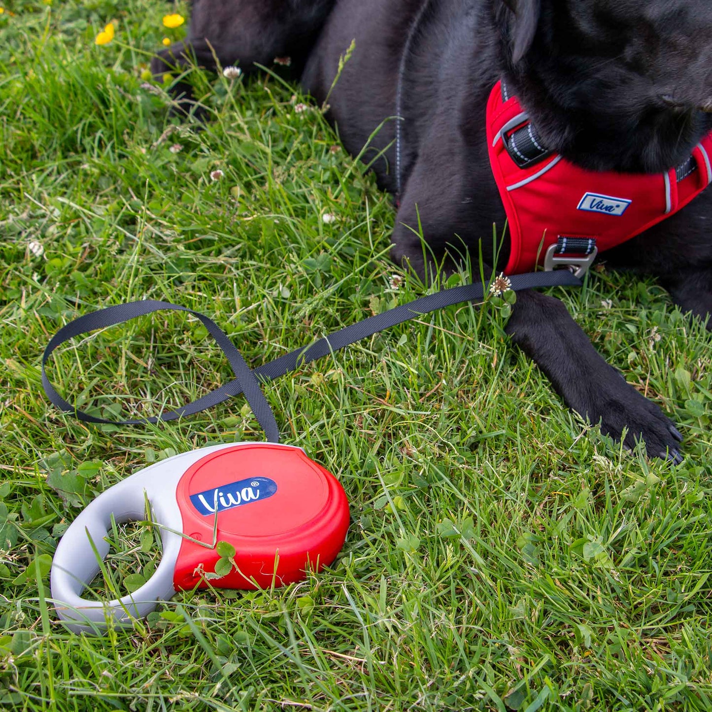 Ancol Viva Retractable 5m Lead Raspberry Pink L 50kg