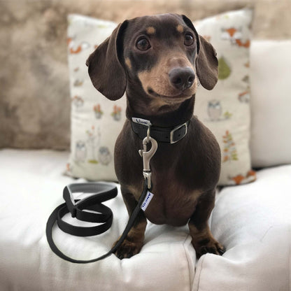 Ancol Viva Padded Lead Black 1.8mx25mm 75kg