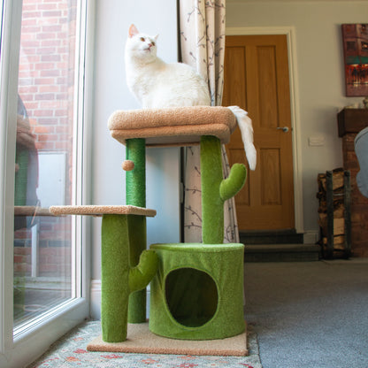 Ancol Desert Cactus Cat Bed/Scratch Post