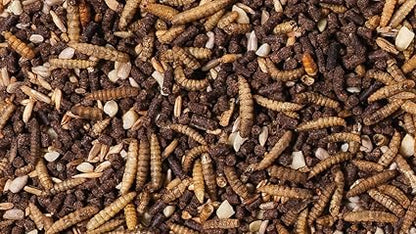 Johnston & Jeff Hedgehog Mix 1.2kg