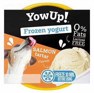 YowUp Ice Cream Yogurt 110g