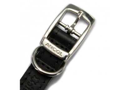 Ancol Leather Collar