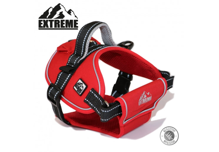 Ancol Extreme Harness