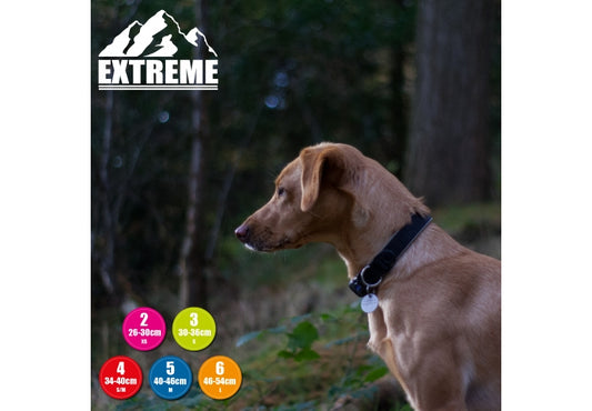 Ancol Extreme Collar