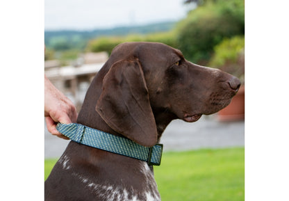 Ancol Extreme + Collar with Grab Handle