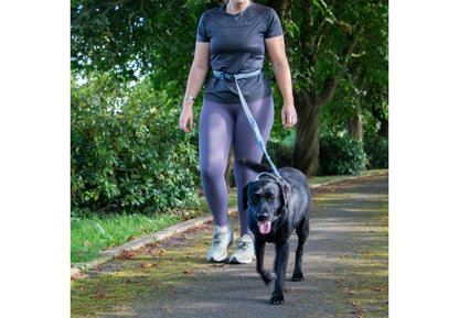 Ancol Extreme + Shock Absorb Running Lead