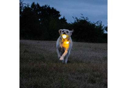 Ancol Rechargeable LED Ball Yellow