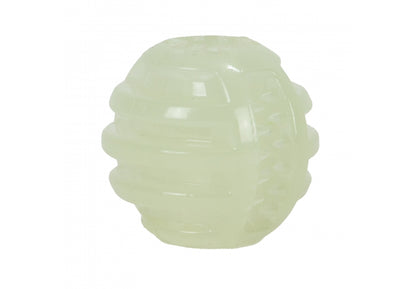 Ancol Extreme Glow in the Dark Ball