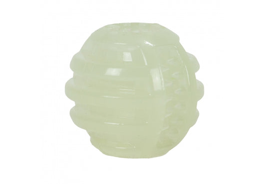 Ancol Extreme Glow in the Dark Ball