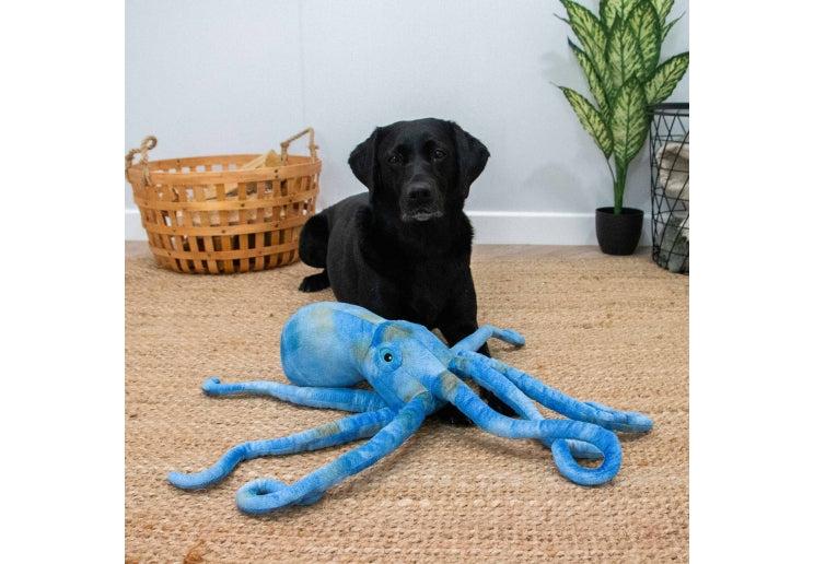 Ancol Cuddle Phil the Kraken