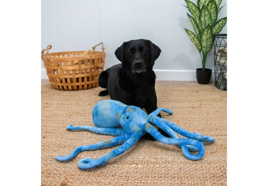 Ancol Cuddle Phil the Kraken