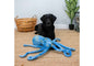 Ancol Cuddle Phil the Kraken