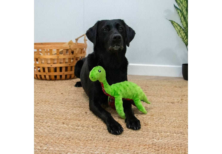 Ancol Cuddle Lottie Loch Ness Monster