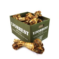 Whole Bone Jurassic single