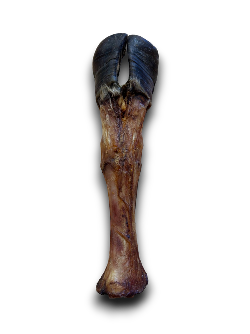 Anco Giant Cow Leg