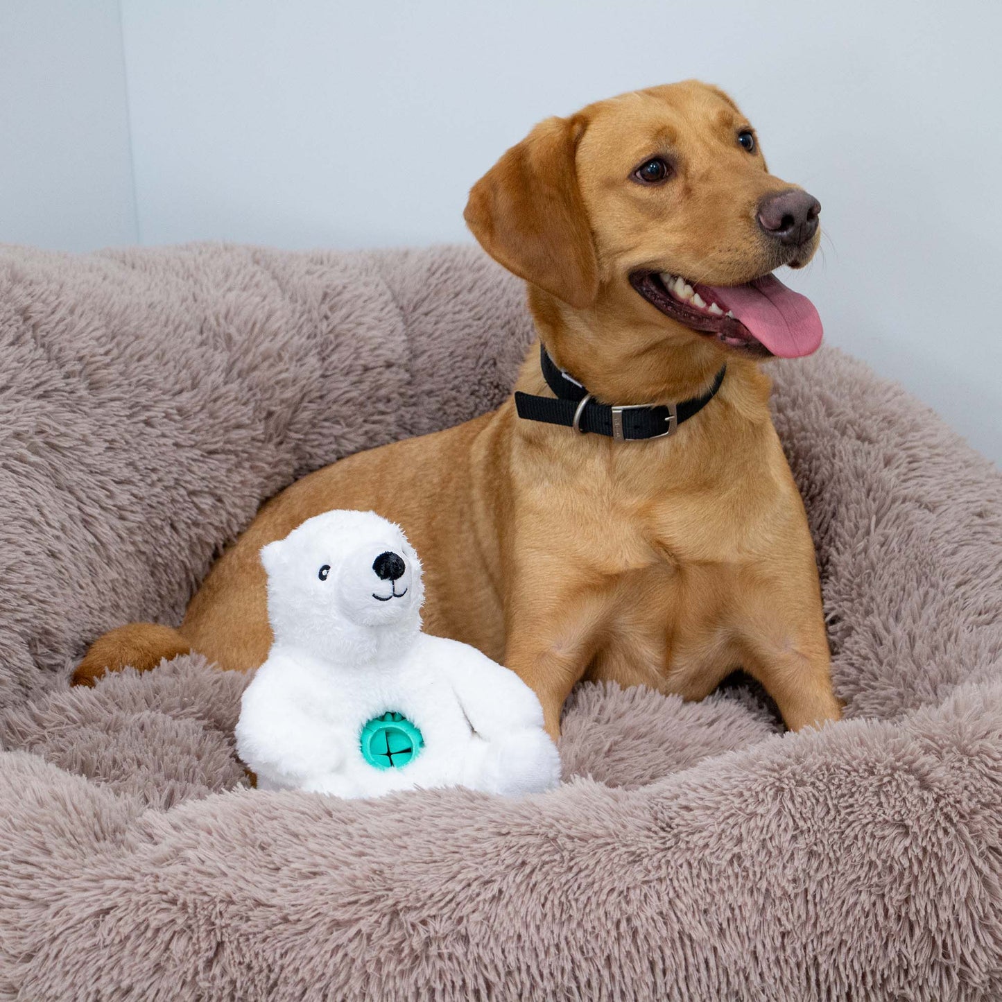 Ancol Orva Polar Bear Treat Belly