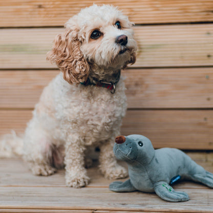 Ancol Made From Seal