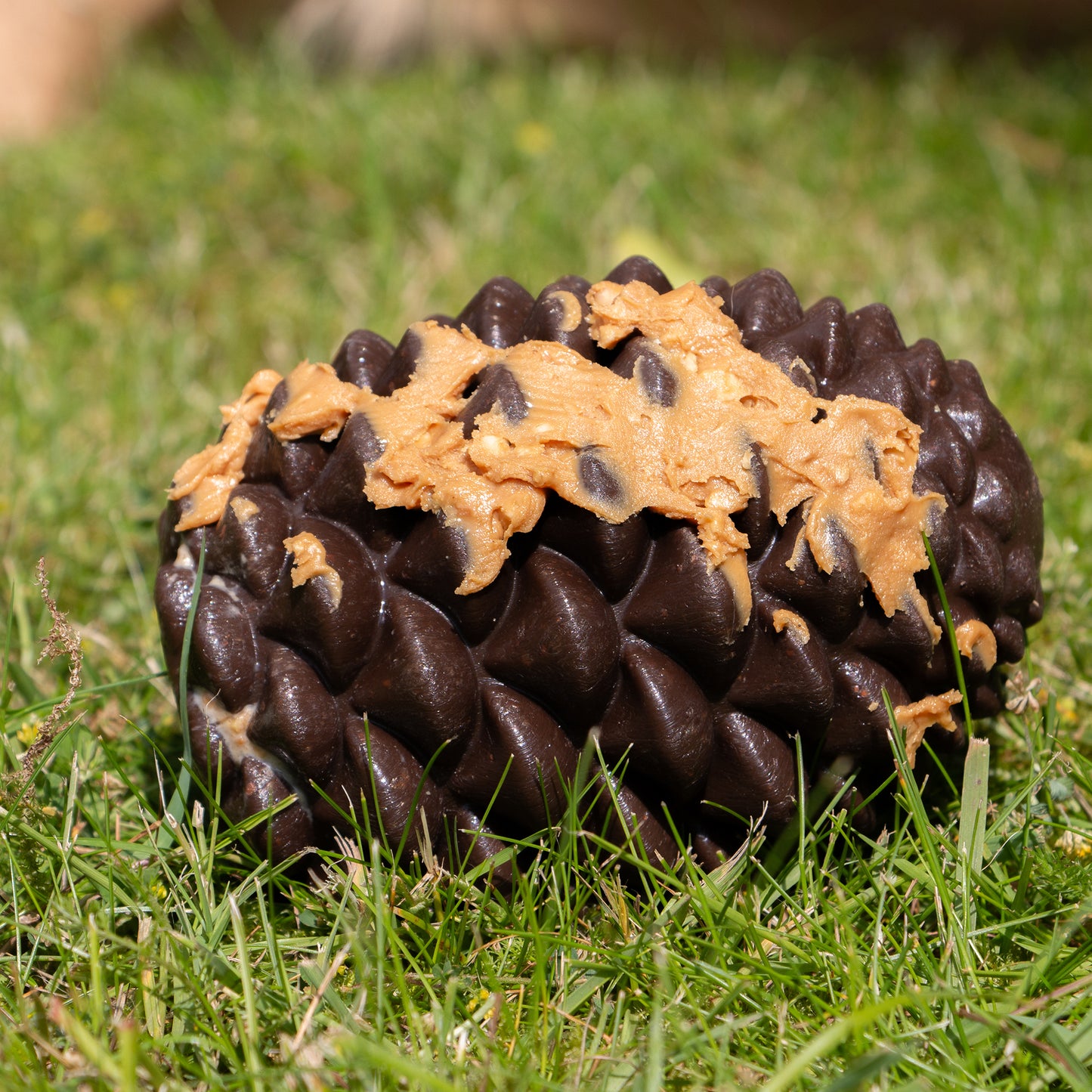 Ancol Orva Pine Cone