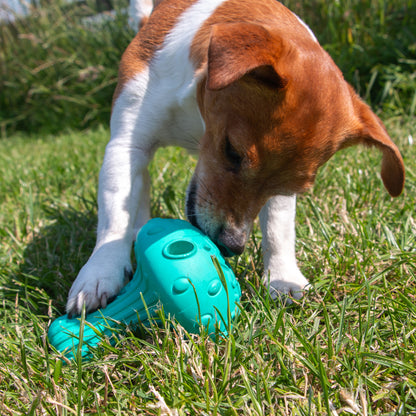 Ancol Orva Mushroom Treat Toy