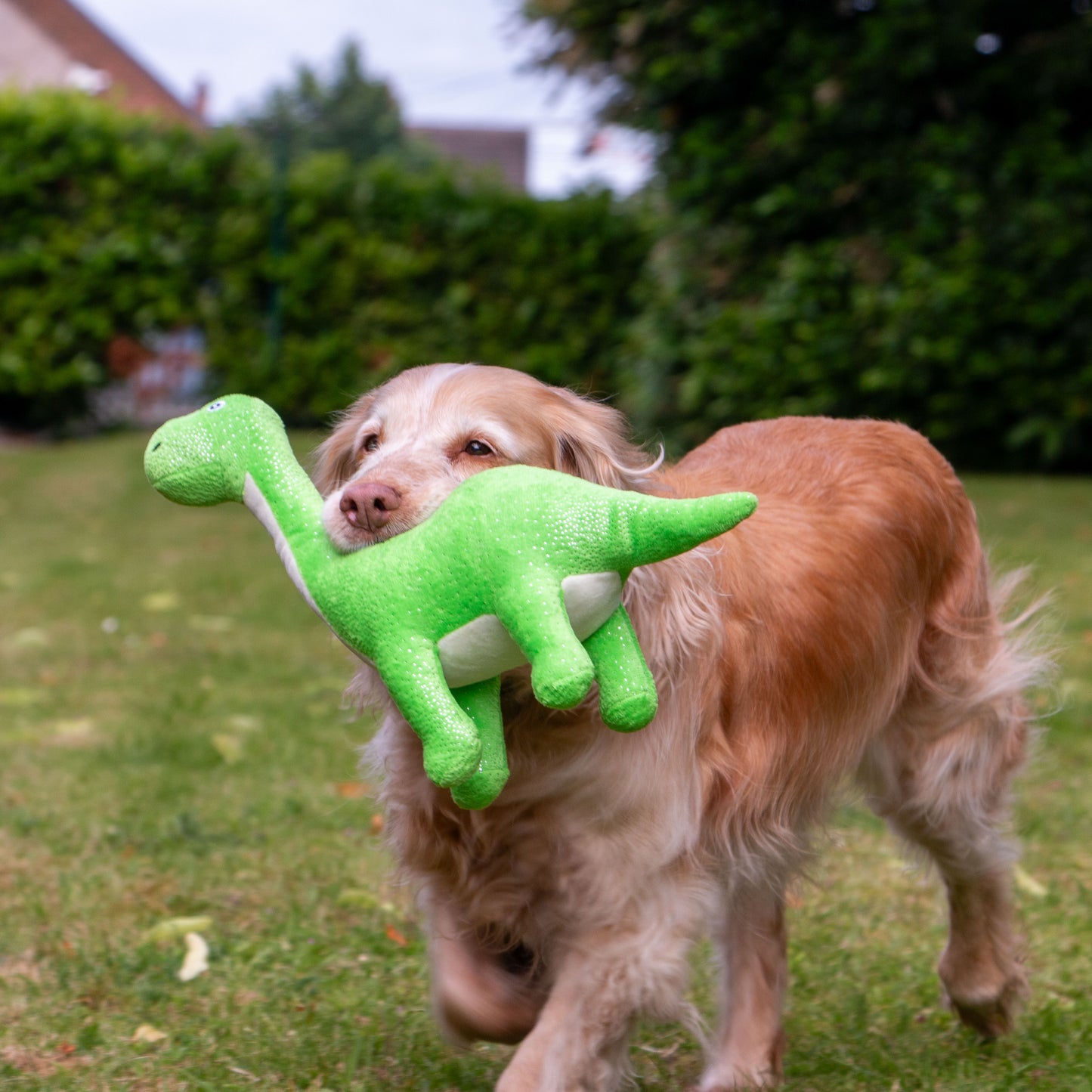 Ancol Cuddle Roarsome Dinos