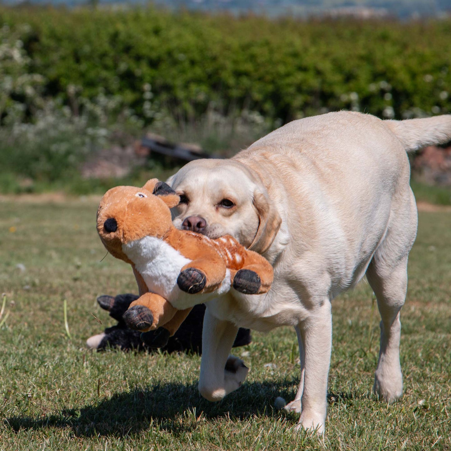 Ancol Heritage Collection Delilah Deer