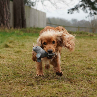 Ancol Made From Mini Turtle, Seal And Seahorse