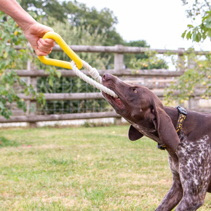 Ancol Playtime Natural Ropey Triangle (Yellow)