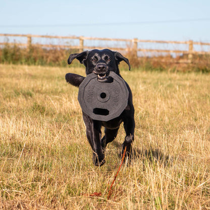 Ancol Tough Super Barbell Plate
