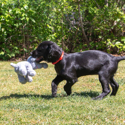 Ancol Small Bite Grey Elephant
