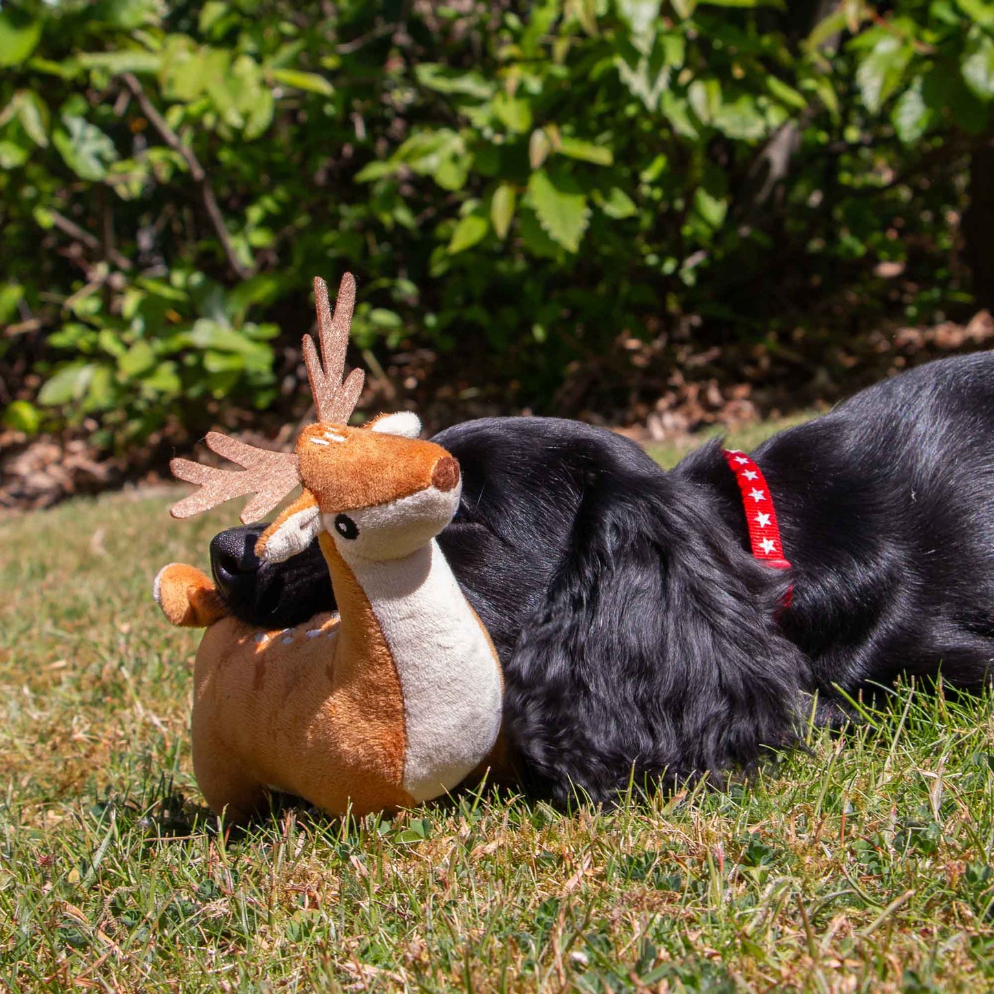 Ancol Small Bite Deer