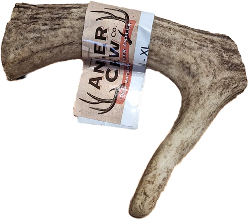 The Antler Chew Co Full Antler XL