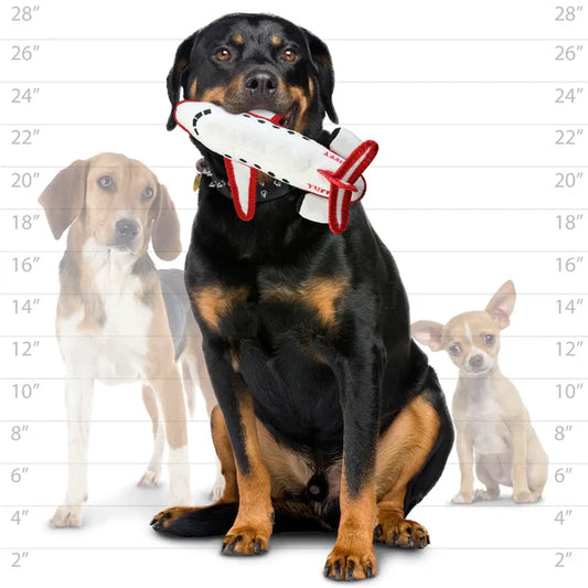 Tuffy Transportation Airplane