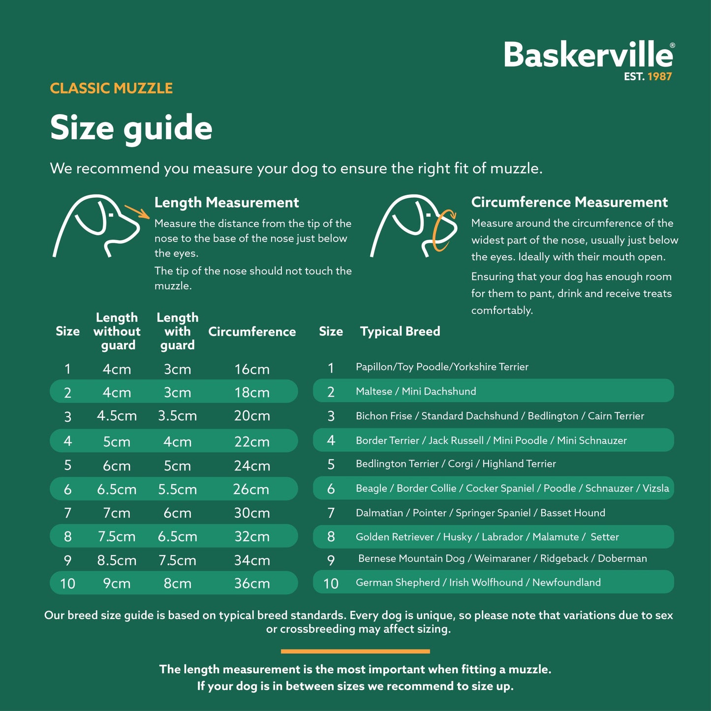 Company Of Animals Baskerville Classic Basket Muzzle Size 4