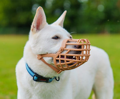 Company Of Animals Baskerville Classic Basket Muzzle Size 4