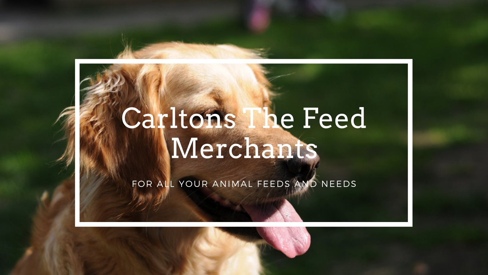 Carltons The Feed Merchants